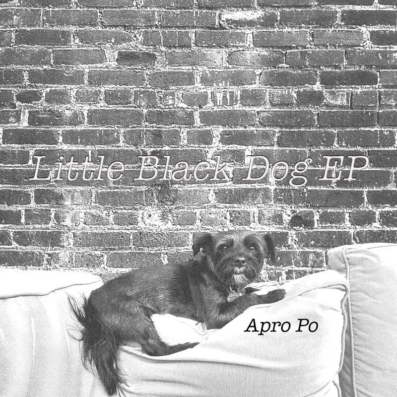 Little Black Dog by Apro Po — official cover artwork